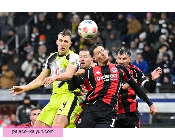 德甲法兰克福足球俱乐部 德甲法兰克福足球俱乐部