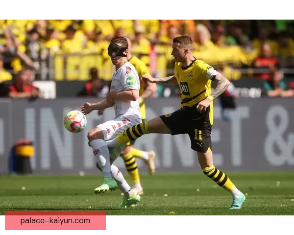 德甲大黄蜂球队状态回暖，近期表现稳健受到广泛关注